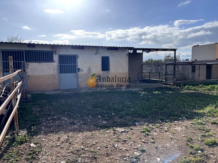 Image No.15-Propriété de 3 chambres à vendre à Moraleda de Zafayona