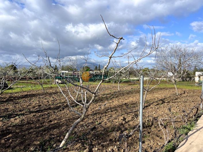 Image No.16-Propriété de 3 chambres à vendre à Moraleda de Zafayona