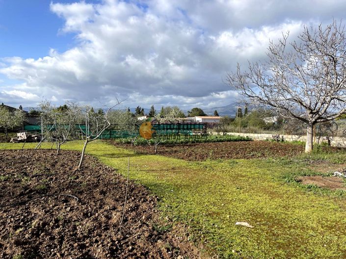 Image No.17-Propriété de 3 chambres à vendre à Moraleda de Zafayona