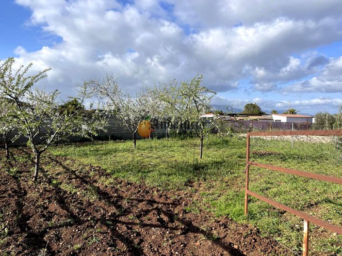 Image No.19-Propriété de 3 chambres à vendre à Moraleda de Zafayona