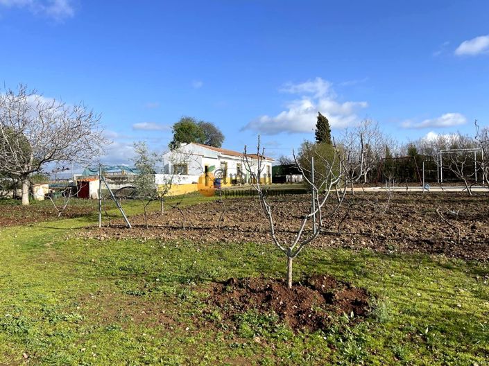 Image No.20-Propriété de 3 chambres à vendre à Moraleda de Zafayona