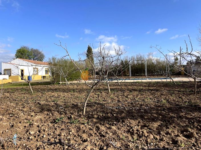 Image No.21-Propriété de 3 chambres à vendre à Moraleda de Zafayona