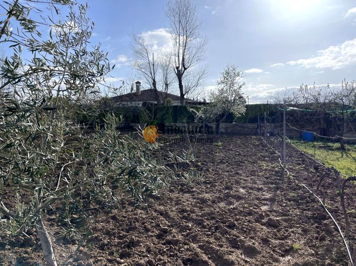 Image No.24-Propriété de 3 chambres à vendre à Moraleda de Zafayona