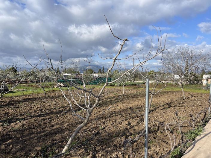 Image No.25-Propriété de 3 chambres à vendre à Moraleda de Zafayona