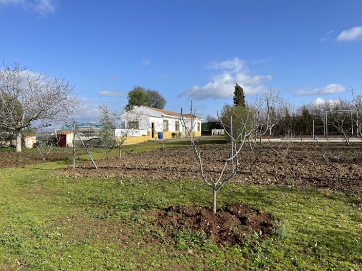 Image No.26-Propriété de 3 chambres à vendre à Moraleda de Zafayona