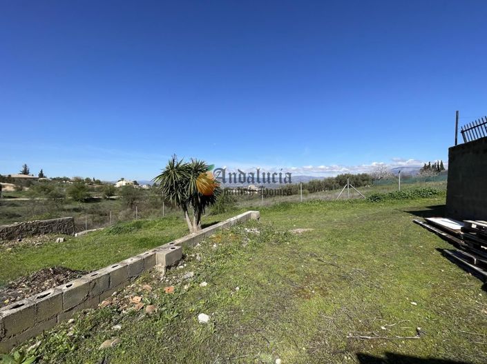 Image No.42-Propriété de 3 chambres à vendre à Moraleda de Zafayona