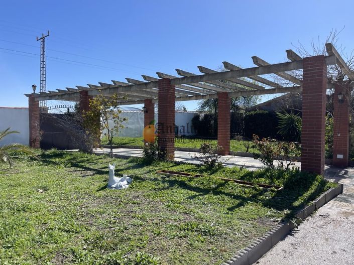 Image No.48-Propriété de 3 chambres à vendre à Moraleda de Zafayona