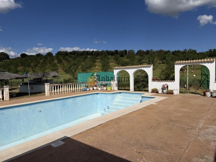 Image No.40-Propriété de 2 chambres à vendre à Jaen