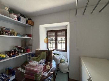 cad3f568-0004268543