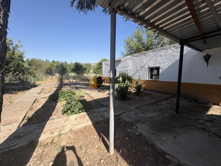 Image No.45-4 Bed Property for sale
