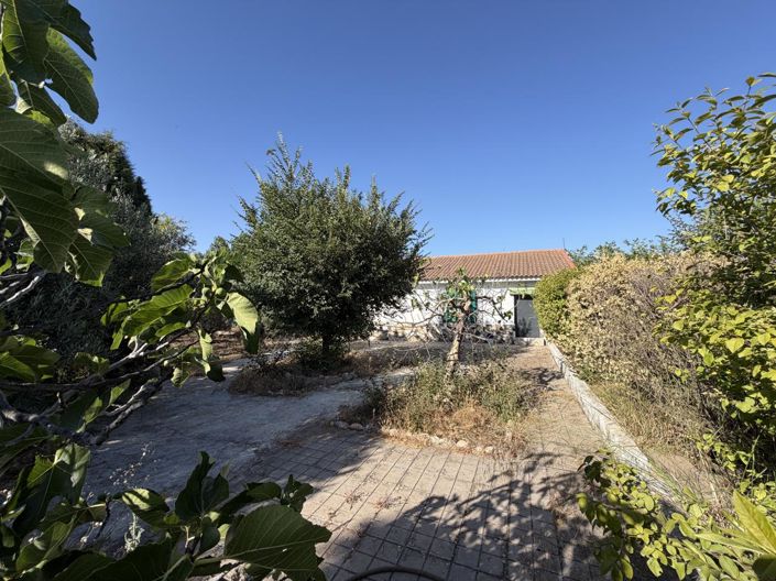 Image No.40-Propriété de 4 chambres à vendre à Moraleda de Zafayona