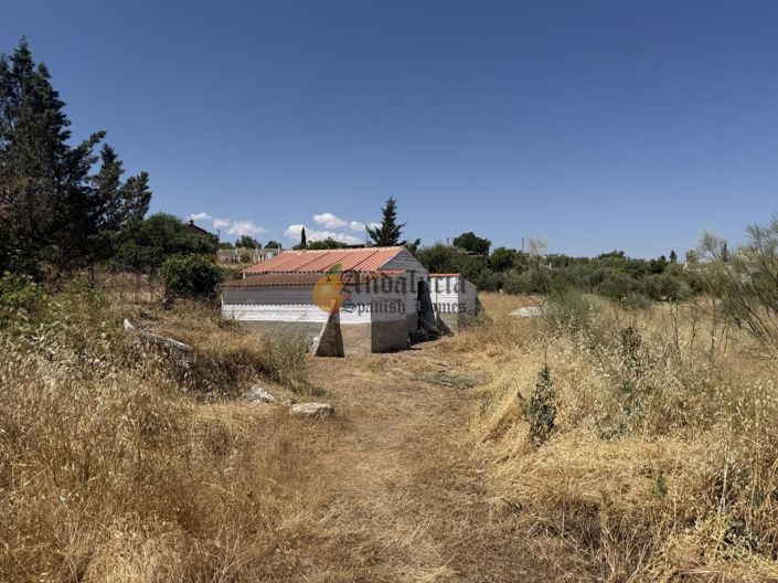 Image No.19-Propriété de 3 chambres à vendre à Moraleda de Zafayona