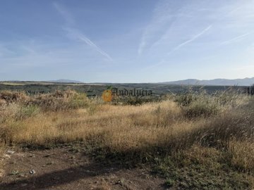 7d45898b-0004257283