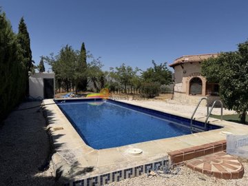 ca04b48f-0004276636