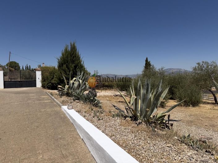 Image No.41-4 Bed Property for sale