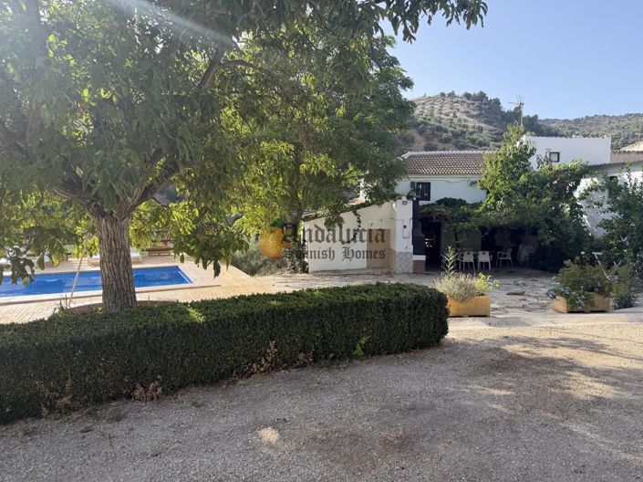 Image No.3-6 Bed Property for sale