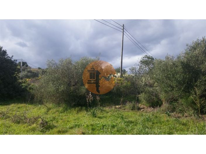 Image No.12-Plot for sale