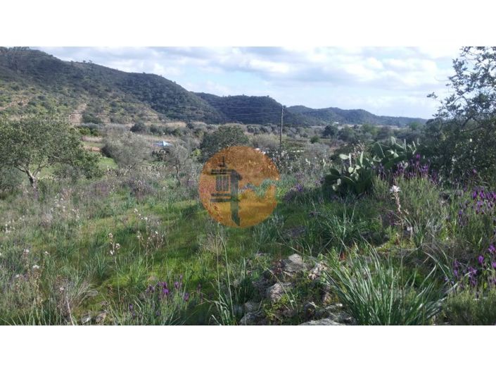 Image No.15-Plot for sale