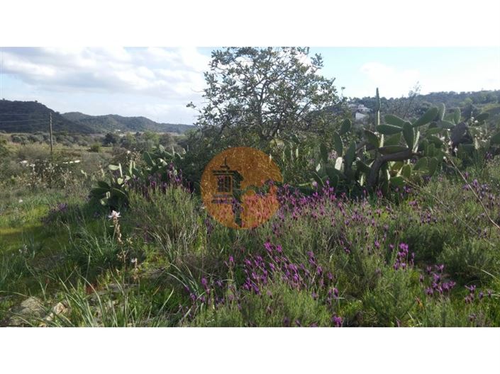 Image No.5-Plot for sale