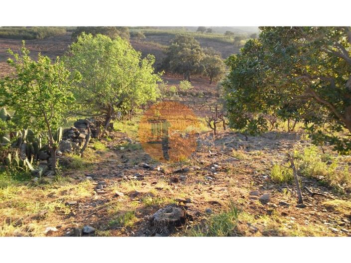 Image No.11-Terrain à vendre à Castro Marim