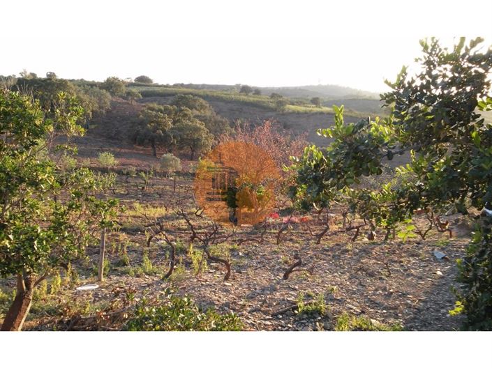 Image No.14-Terrain à vendre à Castro Marim