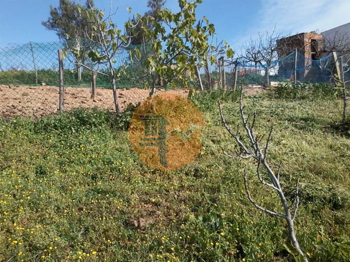 Image No.7-Terrain à vendre à Castro Marim