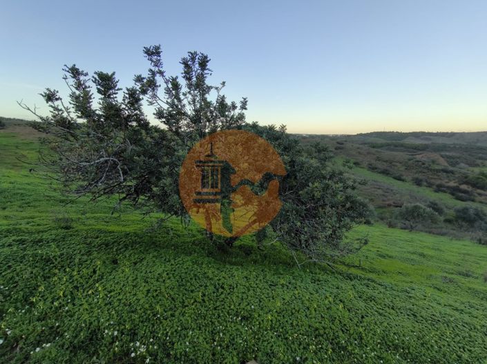 Image No.15-Plot for sale