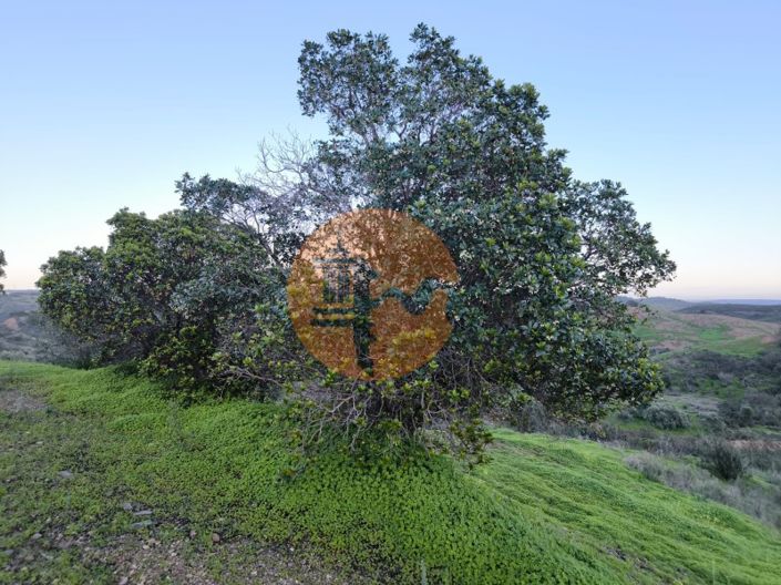 Image No.16-Plot for sale