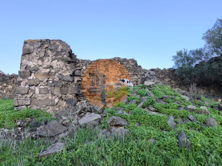 Image No.24-Plot for sale