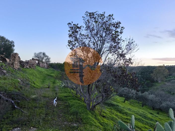 Image No.26-Plot for sale