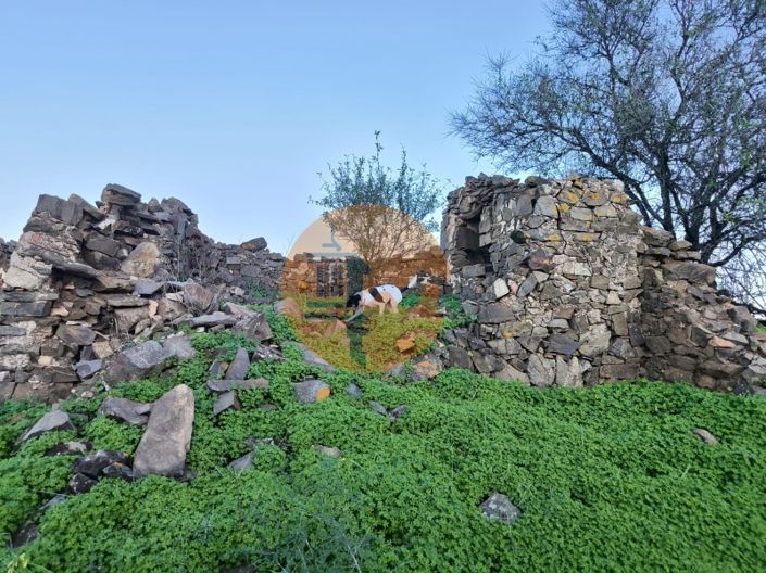 Image No.4-Plot for sale