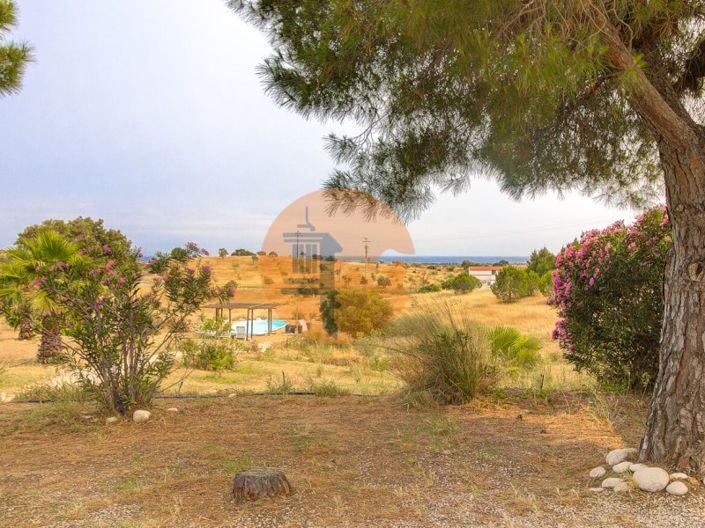 Image No.70-6 Bed House for sale