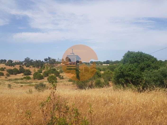 Image No.90-6 Bed House for sale