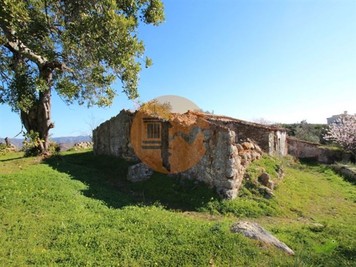 Image No.1-Plot for sale