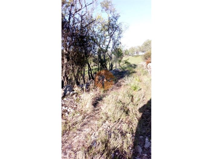 Image No.6-Terrain à vendre à Albufeira