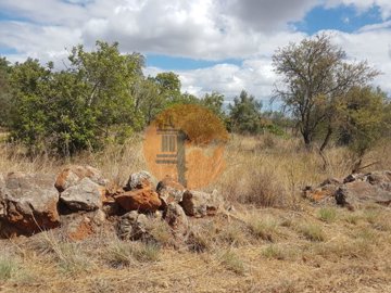 1 - Loule, Plot
