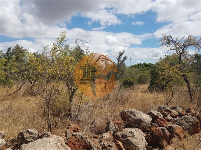 Image No.4-Plot for sale