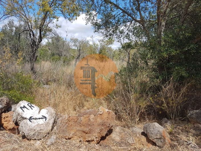 Image No.5-Plot for sale