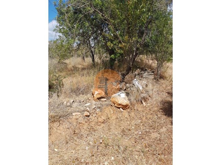 Image No.6-Plot for sale