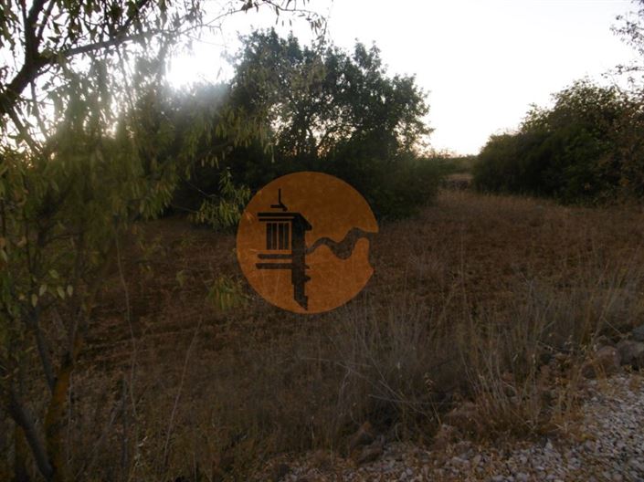 Image No.3-Terrain à vendre à Silves