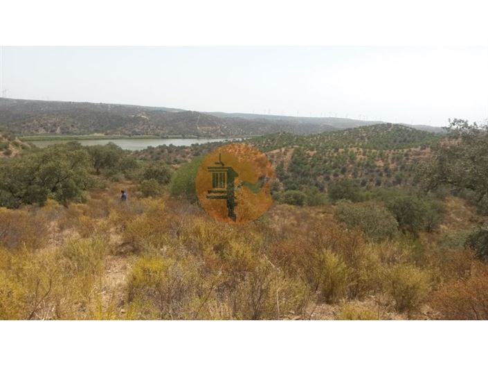 Image No.3-Plot for sale