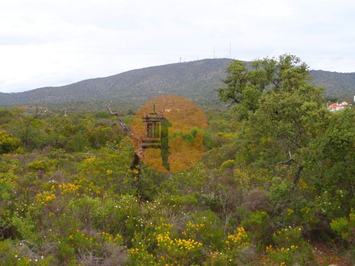 Image No.10-Plot for sale