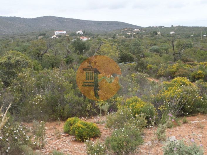 Image No.13-Plot for sale