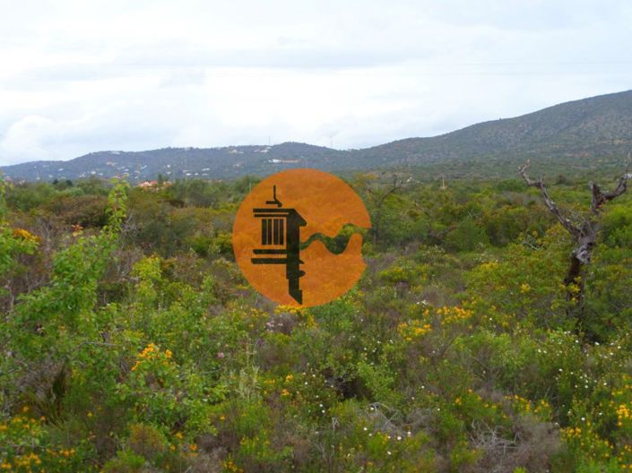 Image No.18-Plot for sale