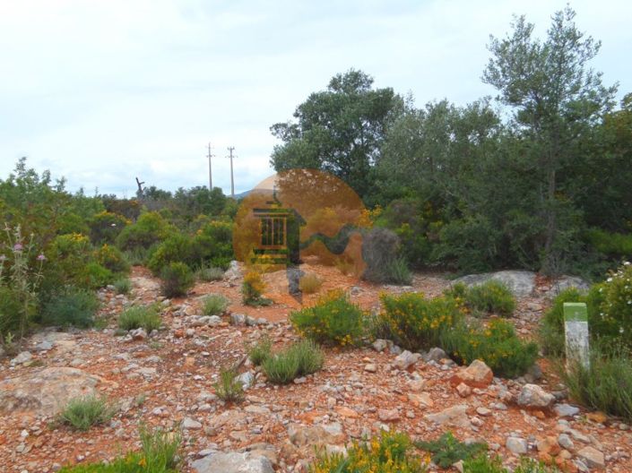 Image No.4-Plot for sale