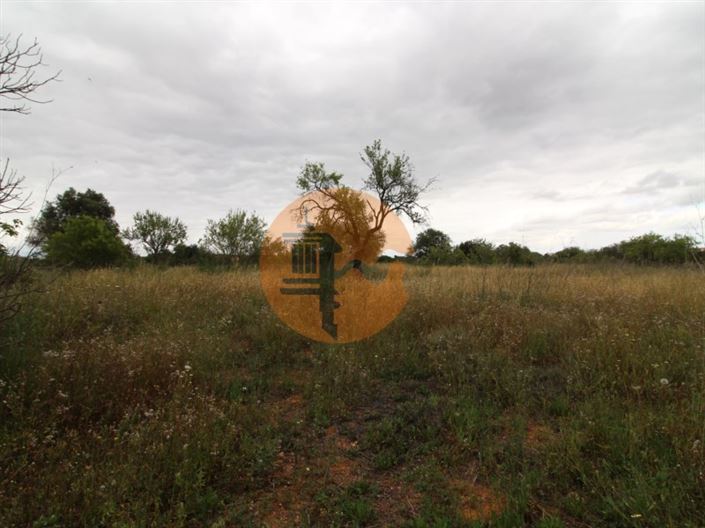 Image No.13-Plot for sale