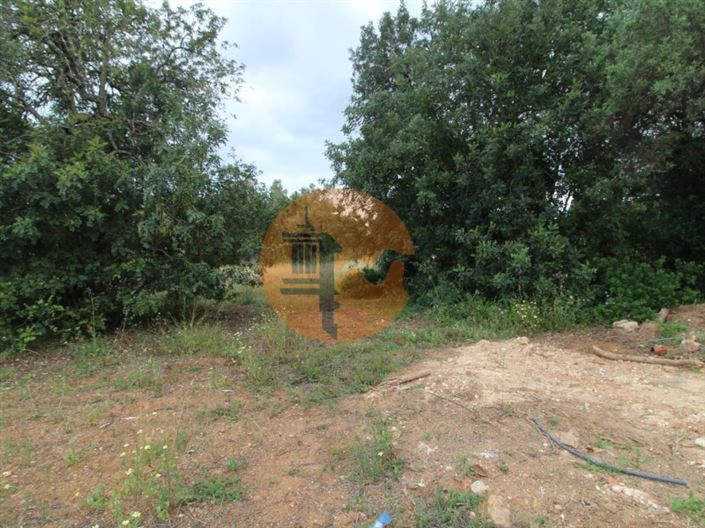 Image No.15-Plot for sale