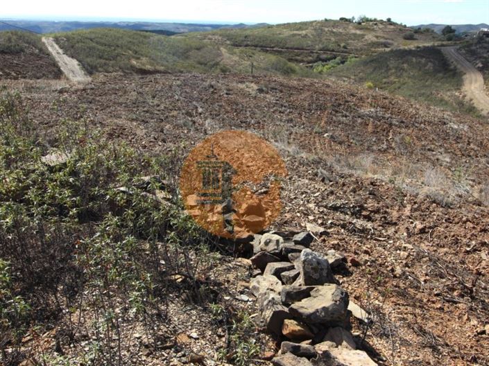 Image No.11-Plot for sale