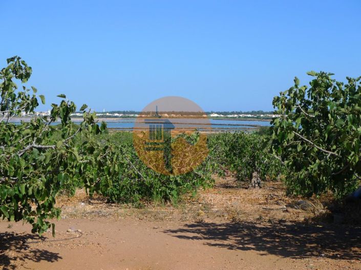 Image No.20-4 Bed Farmhouse for sale