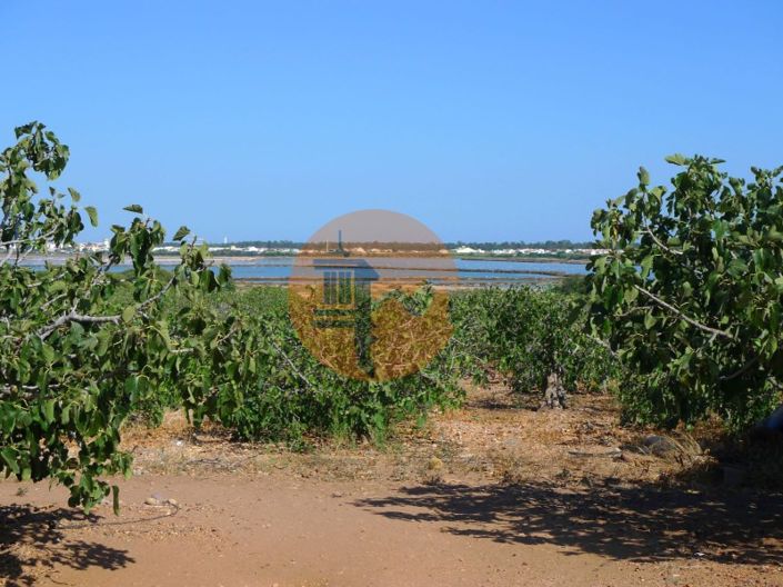 Image No.21-4 Bed Farmhouse for sale